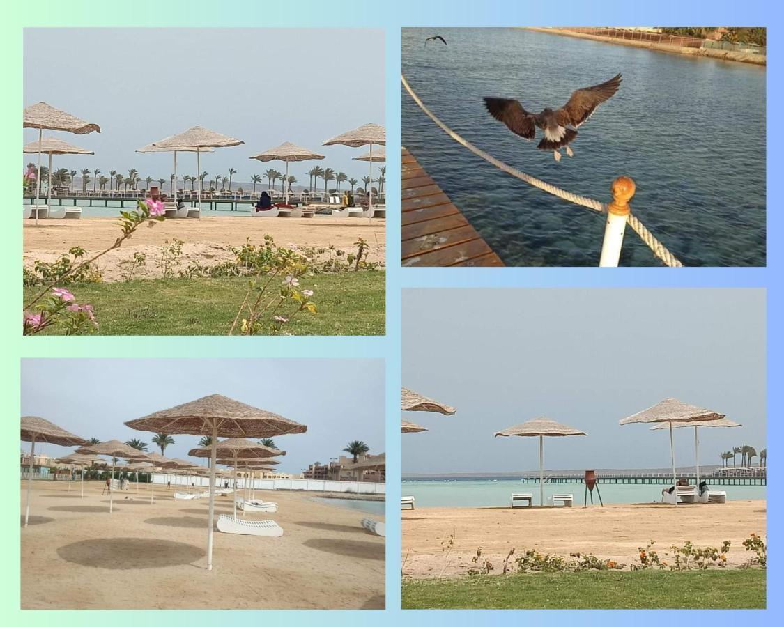 Scandic Resort: Comfy & Cozy. A435 Hurghada Eksteriør bilde